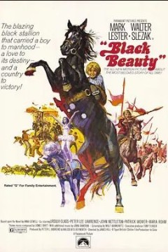 黑骏马1971