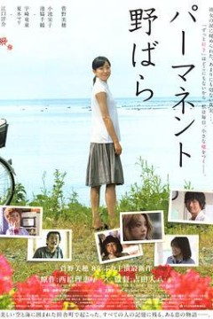 常开野蔷薇