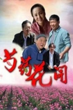 芍药花开