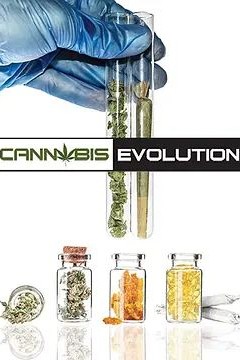 大麻进化