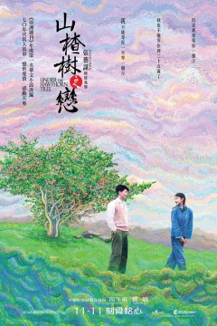山楂树之恋2010