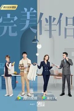 完美伴侣2022