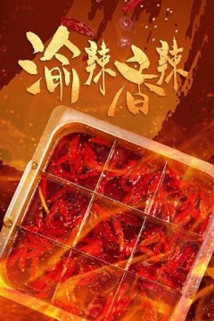 陕辣香辣2023