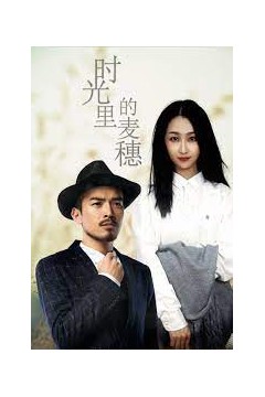 时光里的麦穗