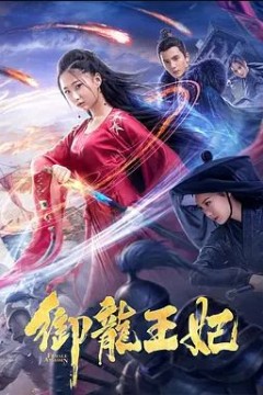御龙王妃2019