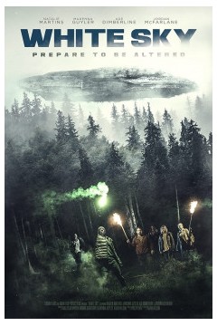 苍白天空