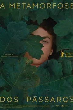 鸟类变形记