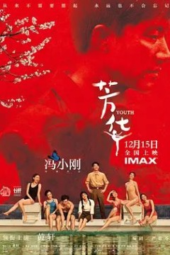 芳华2017