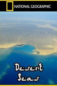 沙漠海