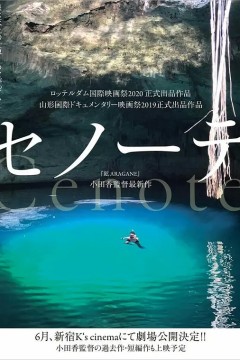 沉洞泉2019