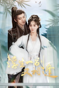 浮生一别又相逢