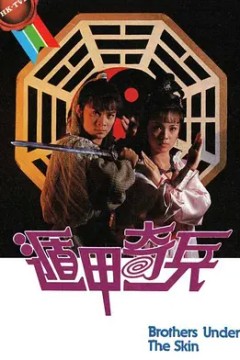 遁甲奇兵
