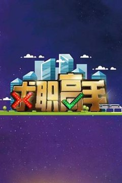 求职高手