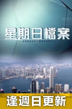 星期日档案2024