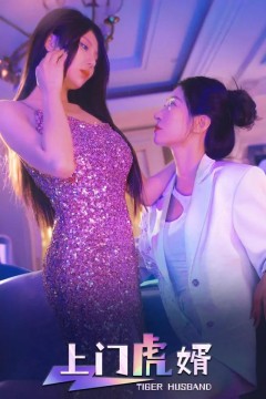 上门虎婿