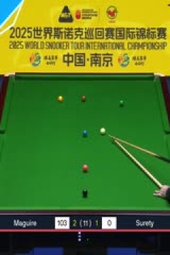 2025斯诺克国际锦标赛8进4扎克·舒尔第1-6斯蒂芬·马奎尔20251106
