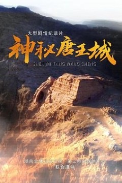 神秘唐王城
