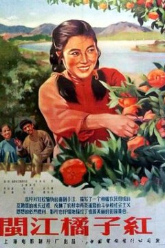闽江橘子红