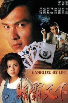 赌霸天下粤语版