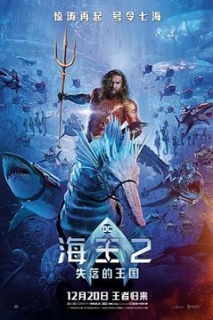 海王2：失落的王国英语版