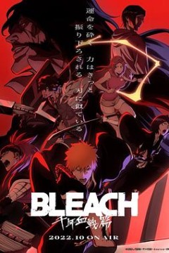 死神国语版