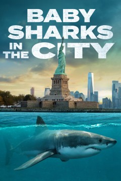 城市里的鲨鱼宝宝