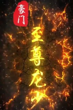 豪门至尊龙少