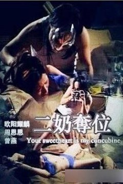 二奶夺位