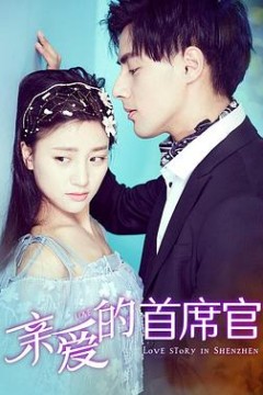亲爱的首席官