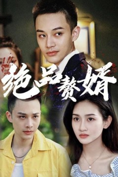 绝品赘婿
