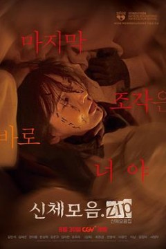 身体集合