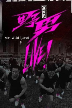 我推的野男LIVE！粤语