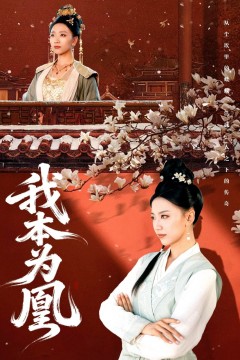 我本为凰