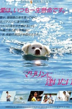 想见玛丽琳