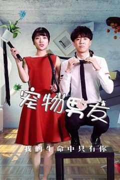 宠物男友