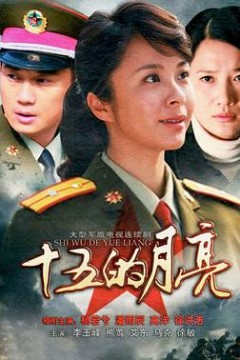 十五的月亮2012