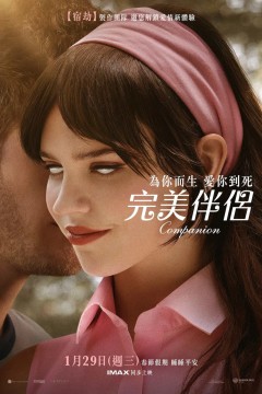 完美伴侣