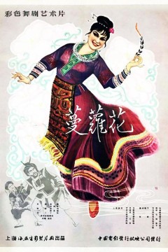 蔓萝花