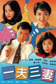 一夫三妻国语