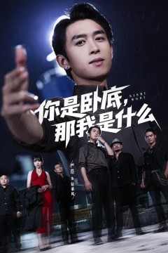 你是卧底那我是什么