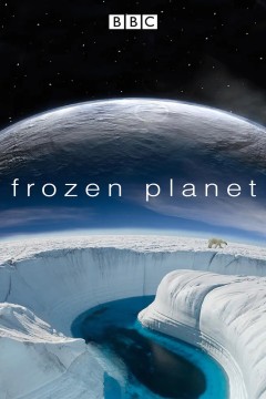 冰冻星球第一季