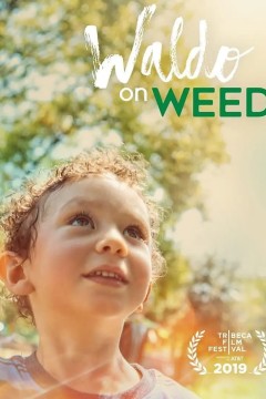 沃尔多吸大麻