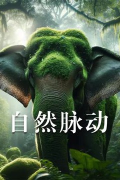 自然脉动