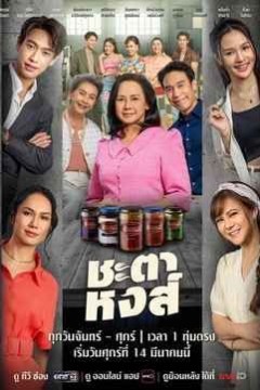 凤凰的命运