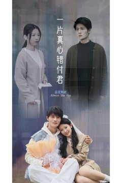 一片真心错付君