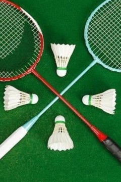 2023海露羽毛球赛李洋王齐麟VS谭强周昊东