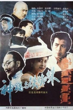 神猫与铁蜘蛛