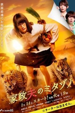 家政夫三田园第7季