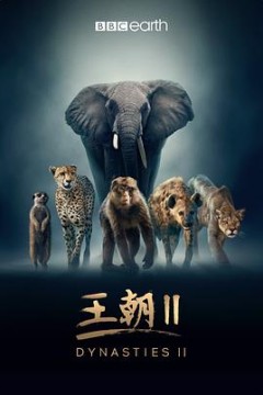 王朝第二季中配版