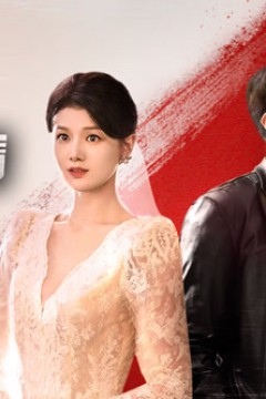 危险女婿